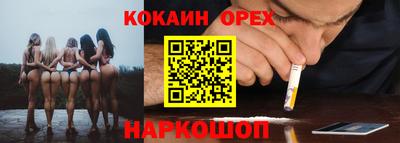 спиды Кингисепп