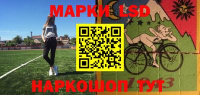 спиды Кингисепп