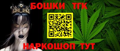 спиды Кингисепп