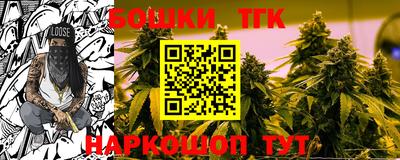 спиды Кингисепп