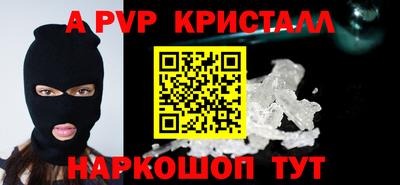 спиды Кингисепп