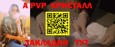 спиды Кингисепп