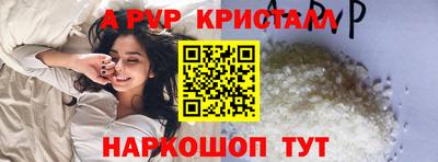 спиды Кингисепп