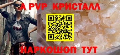 спиды Кингисепп