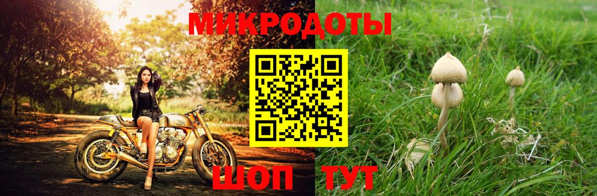 Галлюциногенные грибы GOLDEN TEACHER Красногорск